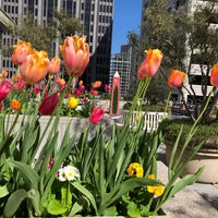 Photo taken at 343 Sansome Roof Garden by Peter B. on 4/2/2018