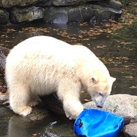 รูปภาพถ่ายที่ Dierenpark Emmen โดย Coen S. เมื่อ 10/24/2015