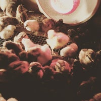 Cherry valley feed & pet supply cheap