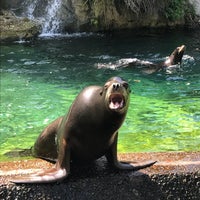 Photo taken at Queens Zoo by Beatriz H. on 6/25/2018