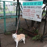 犬の遊び場 金沢区 金沢区海の公園10