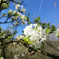 Foto scattata a Botanischer Garten da Belinda il 3/27/2017