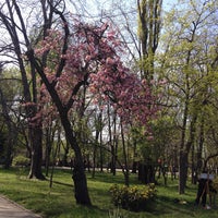 Photo taken at Parcul Herăstrău by George on 4/20/2013