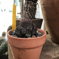 Photo prise au Cactus Store par FHop🎒🌐✈️ le6/9/2018