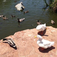 Photo taken at CSUN Fish And Duck Pond by David B. on 5/27/2013