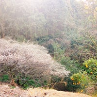 Photo taken at 物見山頂上 by negisiva on 2/24/2024