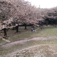 鷺沼城址公園 習志野市 千葉県 鷺沼城址公園 習志野市 千葉県