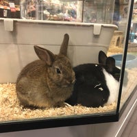 Photo taken at Pets Place by Xenia K. on 4/30/2018