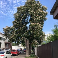 Photo taken at STEND Office Center by Volodymyr S. on 5/17/2019