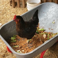 Das Foto wurde bei Reitsberger Hof von gei3el am 8/28/2018 aufgenommen