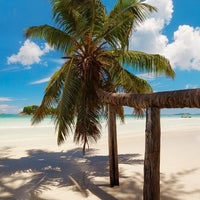 ocean maya royale tipping policy ocean maya royale tipping policy