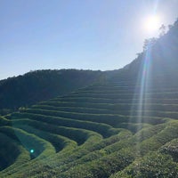 Photo taken at Boseong Dawon Green Tea Field by Jaynell P. on 9/28/2020