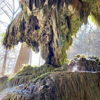 Photo taken at Westcave Outdoor Discovery Center by Ben T. on 2/23/2020