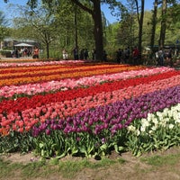 Photo taken at Keukenhof by Natalia J. on 5/8/2016