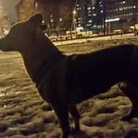 Photo taken at Väinö Vähäkallion puiston koira-aitaus by Ville H. on 1/14/2017