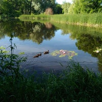 Photo taken at Samara Botanical Garden by Ирина С. on 6/29/2017