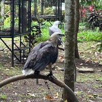 Photo taken at Philippine Eagle Center by Gauntouch on 3/18/2023