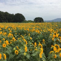 明野自動車学校