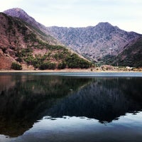 Pica 富士西湖 4 Tips
