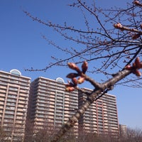 高洲中央公園 高洲4 1 1 高洲中央公園 高洲4 1 1