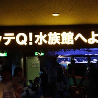 イッテq 水族館 Artik Kapali 金沢区 102 Ziyaretci