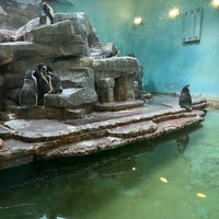Photo taken at Pavilion of Penguins by Karolina J. on 7/14/2022