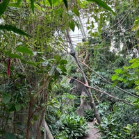 Photo taken at Indonesian Jungle by Karolina J. on 7/14/2022