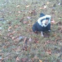 Photo taken at Peachtree Walk Dog Park by Amber J. on 12/28/2012