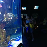 Photo taken at Kipp Memorial Aquarium by Alan P. on 7/7/2016