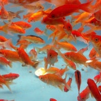 Photo taken at PetSmart by Kitty on 4/20/2013