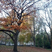 11/11/2012에 Matt F.님이 Central Park Sunset Tours에서 찍은 사진
