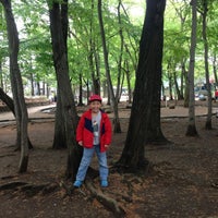 大宮前公園 Playground 大宮前公園 Playground