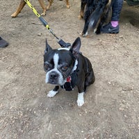 Photo taken at Fort Tryon Park Dog Run by Hana S. on 5/11/2021