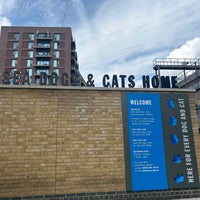 Foto diambil di Battersea Dogs &amp;amp; Cats Home oleh Richard W. pada 8/7/2023