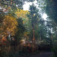 Photo taken at Sydenham Hill Wood by Anatoly S. on 10/22/2023