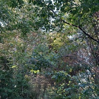 Photo taken at Horniman Nature Trail by Anatoly S. on 10/22/2023