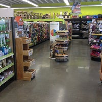 petco unleashed powell