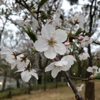 Photo taken at 桜山 by Yu U. on 3/28/2020