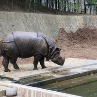 Photo taken at Rhinoceros by Yu U. on 9/22/2020