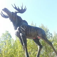 Памятник лосю в Карелии