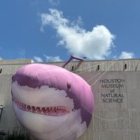 7/30/2023 tarihinde Victor P.ziyaretçi tarafından Houston Museum of Natural Science'de çekilen fotoğraf
