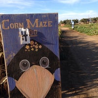 Mountain Valley Ranch Pumpkin Patch Farm