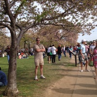 Photo taken at National Cherry Blossom Festival 2013 by L0ve D. on 4/14/2013