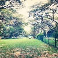 katong park dog run