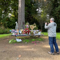 Photo taken at Kurt Cobain Memorial Bench by Amy S. on 10/20/2023