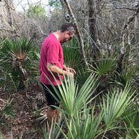 Photo taken at Highlands Hammock State Park by Amy S. on 2/23/2021