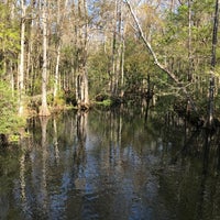 Photo taken at Highlands Hammock State Park by Amy S. on 2/24/2021