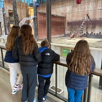 Photo taken at MillerCoors Giraffe Experience by Tim C. on 1/2/2024