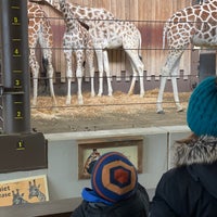 Photo taken at MillerCoors Giraffe Experience by Tim C. on 1/10/2021