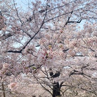 Photo taken at 桜山 by べぇ◎ on 4/2/2022